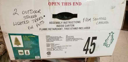 Photo of free 2 staked mini trees (Kenson Park) #1