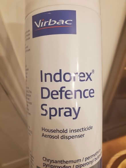 Photo of free Flea spray for cat households (Hillsborough S3) #1