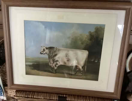 Photo of free Framed Picture (Sole Street) #1