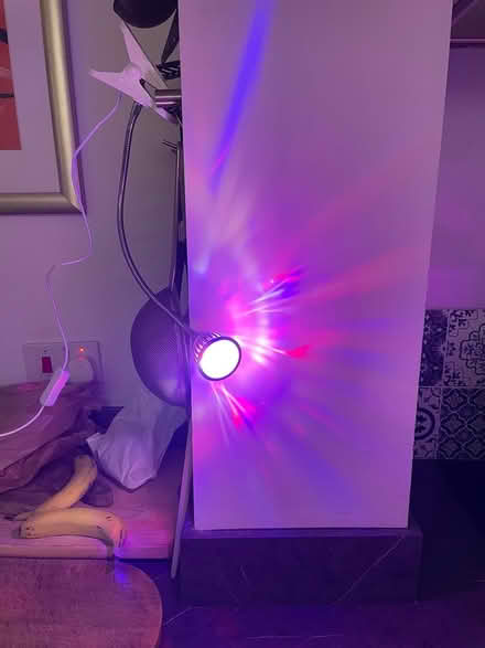 Photo of free UV lights (BN3 5FQ) #3