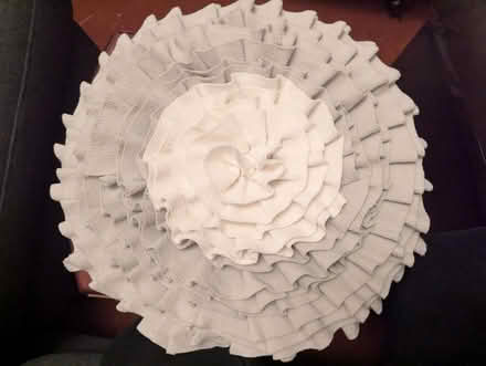 Photo of free Dog onesies, toys, harnesses (Beeston - LS11) #4