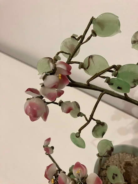 Photo of free Coloured Ceramic Bonsai Tree (Bilton HG1) #2