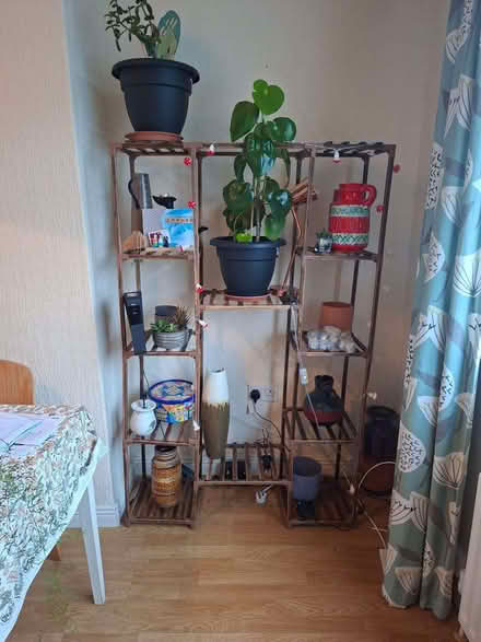 Photo of free plant shelving unit (BT6) #1