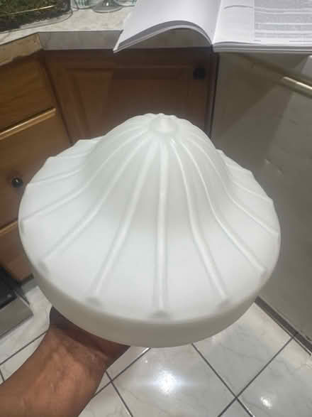 Photo of free Light bulb cover (Stuyvesant Heights) #1