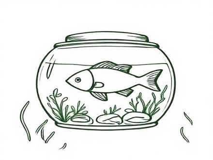 Photo of Fish tank (South Moor DH9) #1