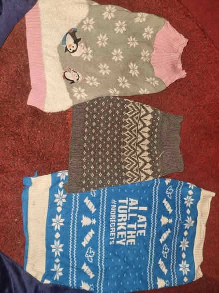 Photo of free Dog jumpers (Speke L24) #2