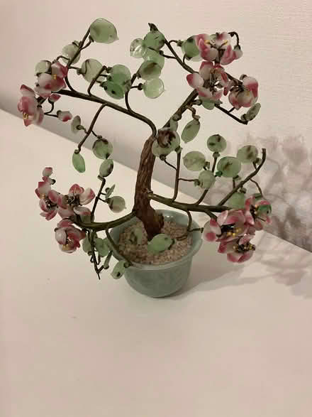 Photo of free Coloured Ceramic Bonsai Tree (Bilton HG1) #1