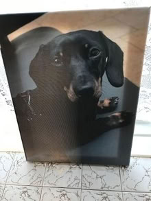 Photo of free Canvas picture (Wokingham RG40) #1