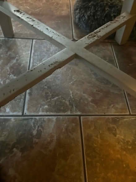 Photo of free Chairs x 4 (Grimston PE32) #3