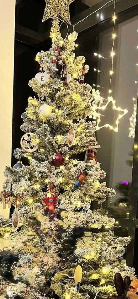 Photo of free Artificial Christmas tree (Sinclair Street Helensburgh) #1