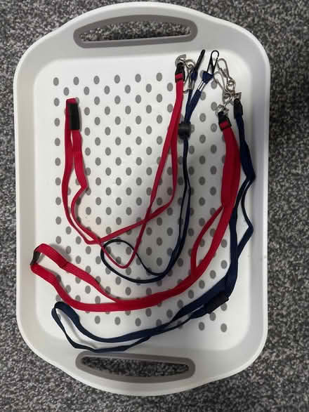 Photo of free Lanyards (Derby DE23) #1