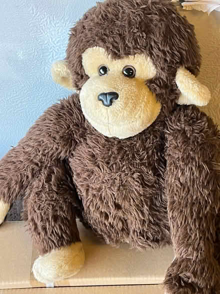 Photo of free Monkey and cat toys (Darwin Park WS14) #1