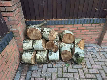 Photo of free Logs for Fire (Rugeley WS15) #1