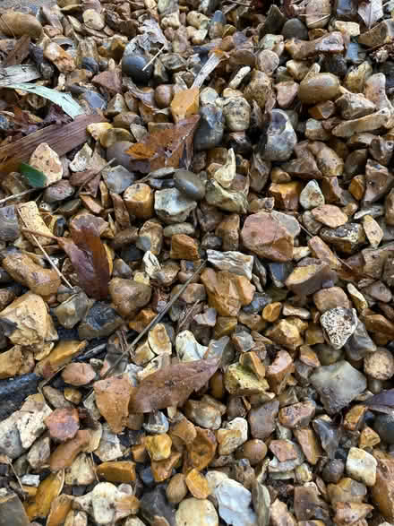 Photo of free 10-20mm golden shingle (Battle RG30) #4