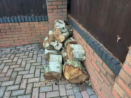 Photo of free Logs for Fire (Rugeley WS15) #3