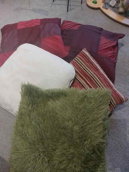 Photo of free Cushions! (Withdean BN1) #1
