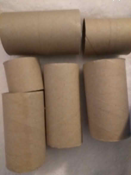Photo of free Toilet rolls - arts n crafts (Birmingham City Centre B4) #1