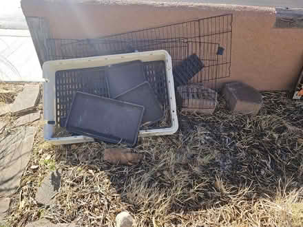 Photo of free Cage (Carlisle / Gibson) #1