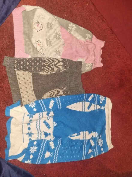 Photo of free Dog jumpers (Speke L24) #1