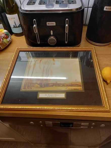 Photo of free 2 x beautiful pictures (Roundhill area brighton) #3