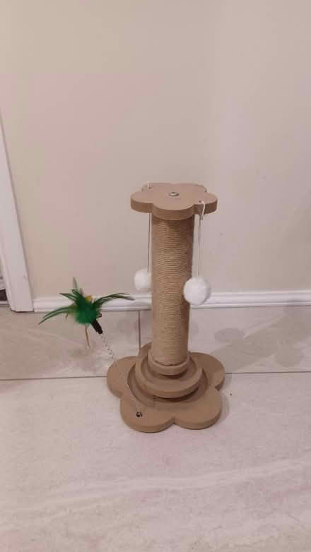 Photo of free Small cat post (Locking Castle BS22) #1