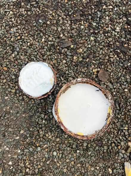 Photo of free Anti mould paint (white matt) (Willey) #2