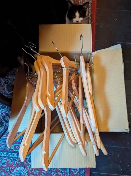 Photo of free 19 Wooden coathangers (Skerton LA1) #1