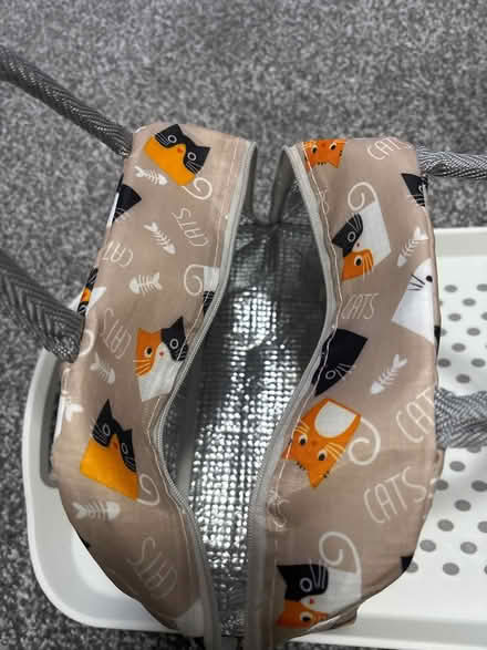 Photo of free Cat Lunch Bag (Derby DE23) #2