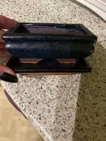 Photo of free Bonsai pot (Funtley PO17) #1