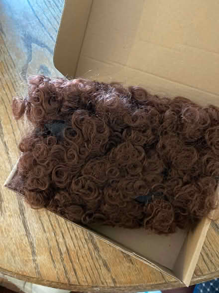 Photo of free 1970’s wig (Montebello) #1