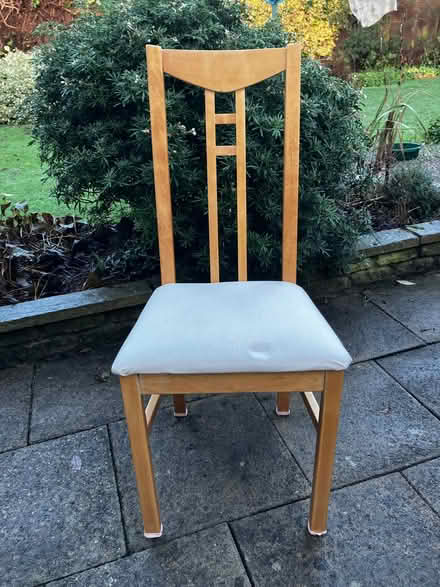 Photo of free Dining chairs (Oswestry SY11) #1