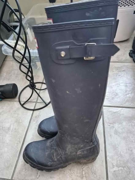 Photo of free Hunter Wellies (Stanley Common DE7) #3