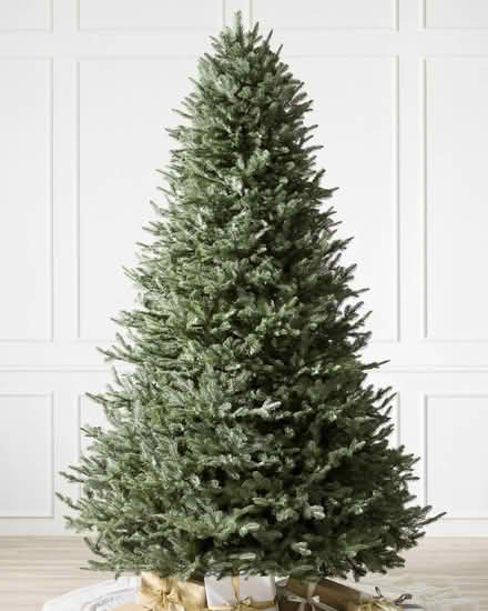 Photo of free Barcana Christmas Tree (Royal York/Norseman) #1