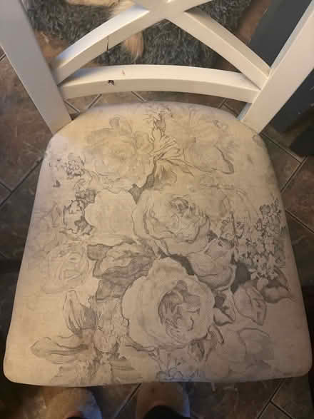 Photo of free Chairs x 4 (Grimston PE32) #4