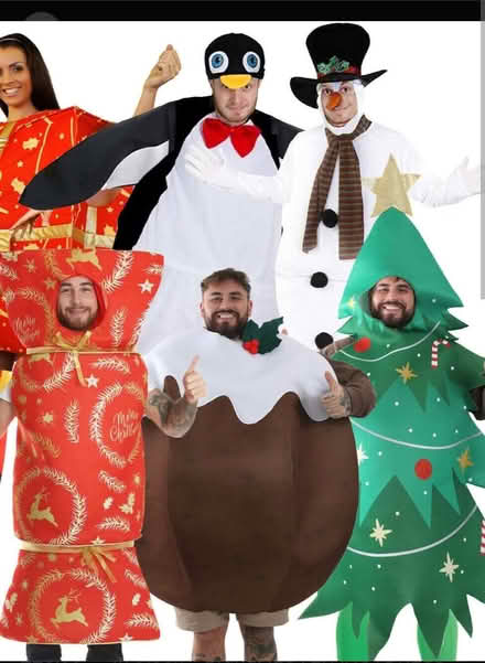 Photo of Christmas themed costume to borrow or have (Birch Hill RG12) #1