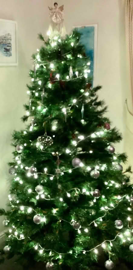 Photo of free Artificial Xmas tree (Darwin Park WS14) #1