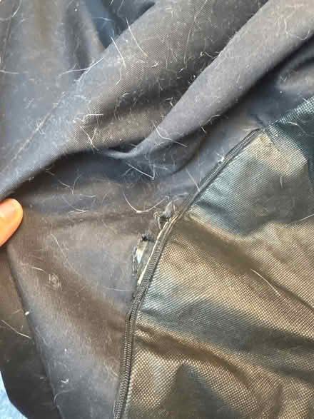 Photo of free Kaikoo beanbags (BN2 hanover) #2