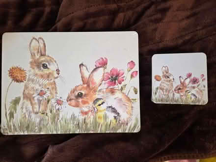Photo of free Brand New Rabbit Mats & Coasters (Willesden Green Station) #1