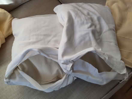 Photo of free 2 small cushions with removable covers (Henleaze Ward BS9) #2
