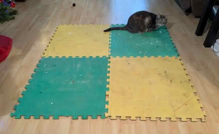 Photo of free Foam exercise mats (Hazeldean/Castlefrank area) #1