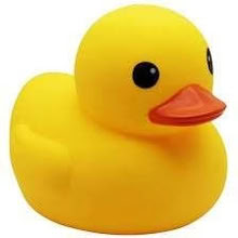 Photo of Rubber duck (s) (Shinfield RG2) #1