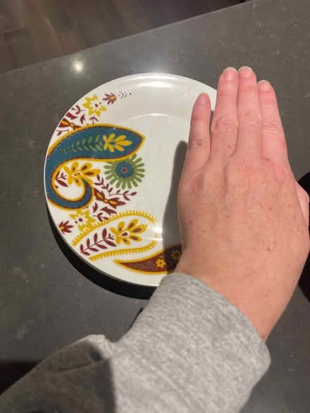Photo of free Set of 4 bowls and plates (Aurora) #2