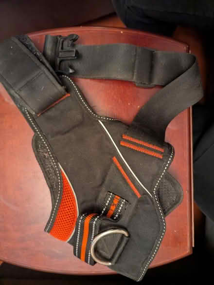 Photo of free Dog onesies, toys, harnesses (Beeston - LS11) #3