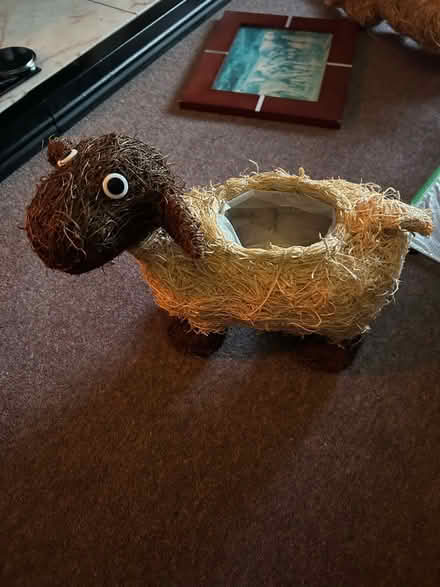 Photo of free Sheep planter (Funtley PO17) #2