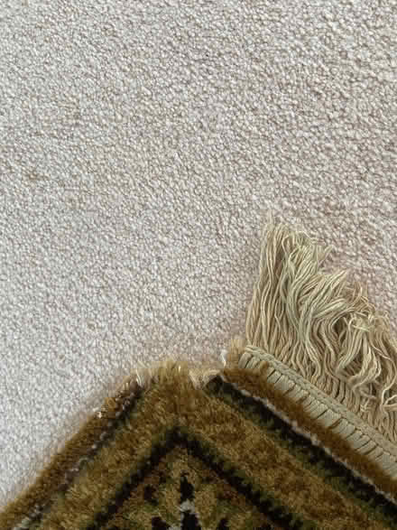 Photo of free Rug (Blackford EH9) #3