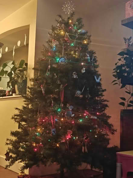 Photo of free Artificial Christmas Tree (7 feet) (Far Horizons) #1