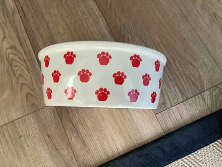 Photo of free Dogs Bowl (Ballards CR2) #1