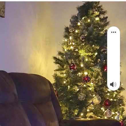 Photo of free 7ft Artificial Christmas Tree (Thornton Lodge HD1) #1