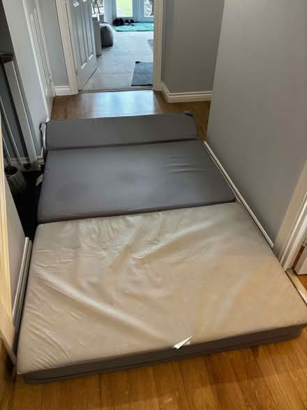 Photo of free SofaBed (Bovey Tracey TQ13) #3