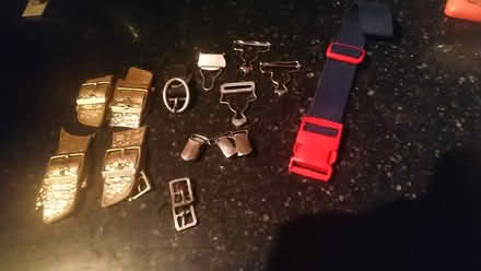 Photo of free Assortment of buckles (Tyberton, Madley, HR2) #1